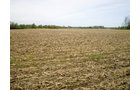 Property photo 3 - 160 Acres in 4 Tracts - Building Potential and Cropland